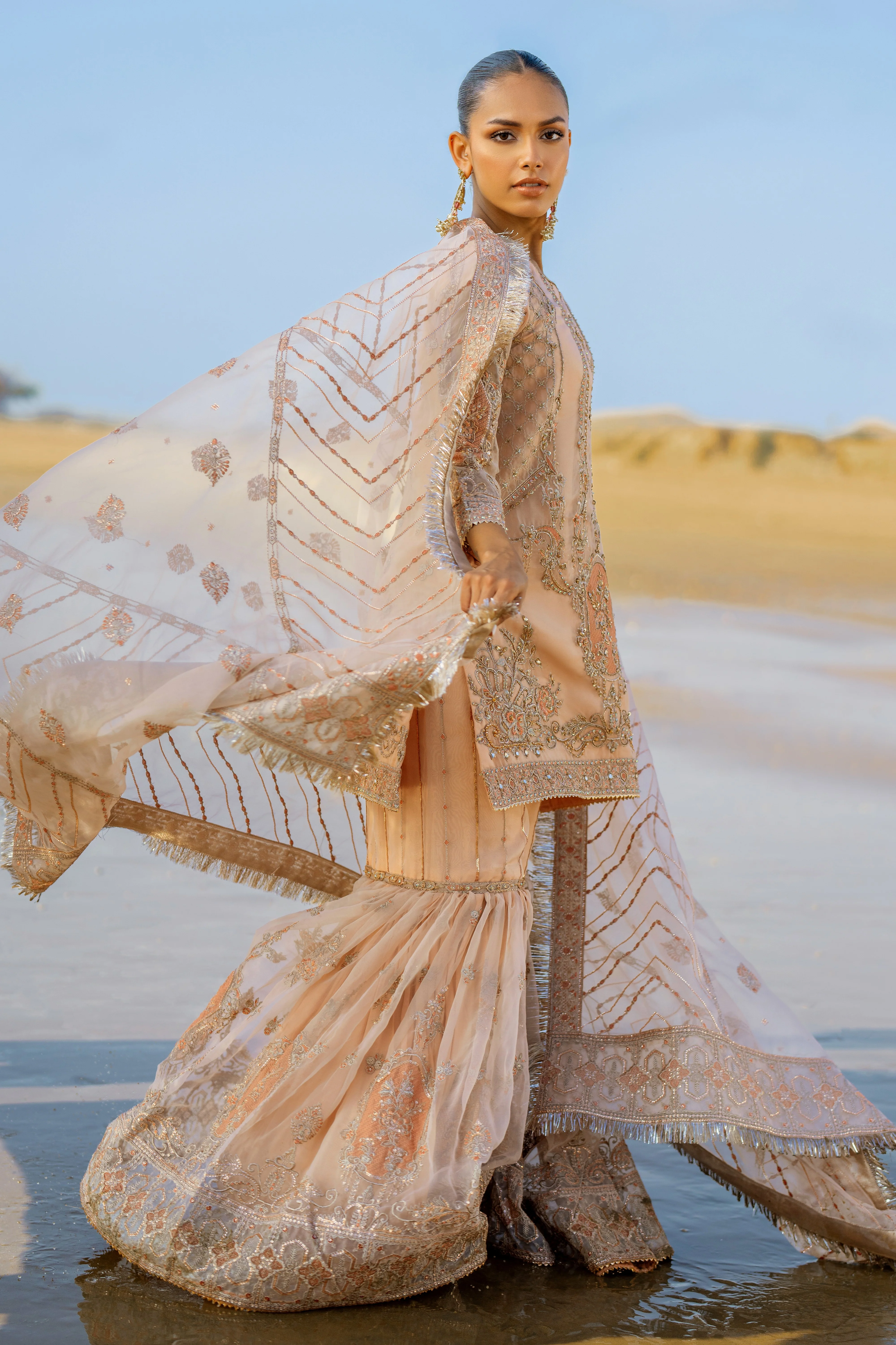 CHANDNI - Image 6